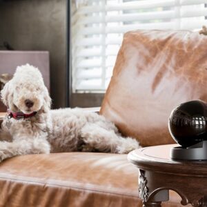 CAMERA CUBE REX3D 3MP 2K IMOU SENSE PT CUBE IP/WI-FI 2.8MM IR MIC/SPEAK