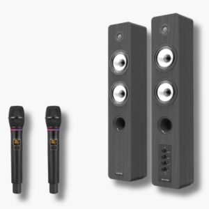 SISTEMA 2.0 CON RADIOMICROFONO PRO EDGE 2 MIC